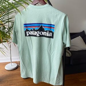 Patagonia Men's Green T-Shirt